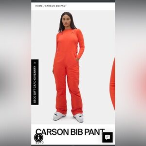 Halfdays Bib ski pants in spritz